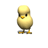 นกตัวเล็ก ภาพเคลื่อนไหว-gif